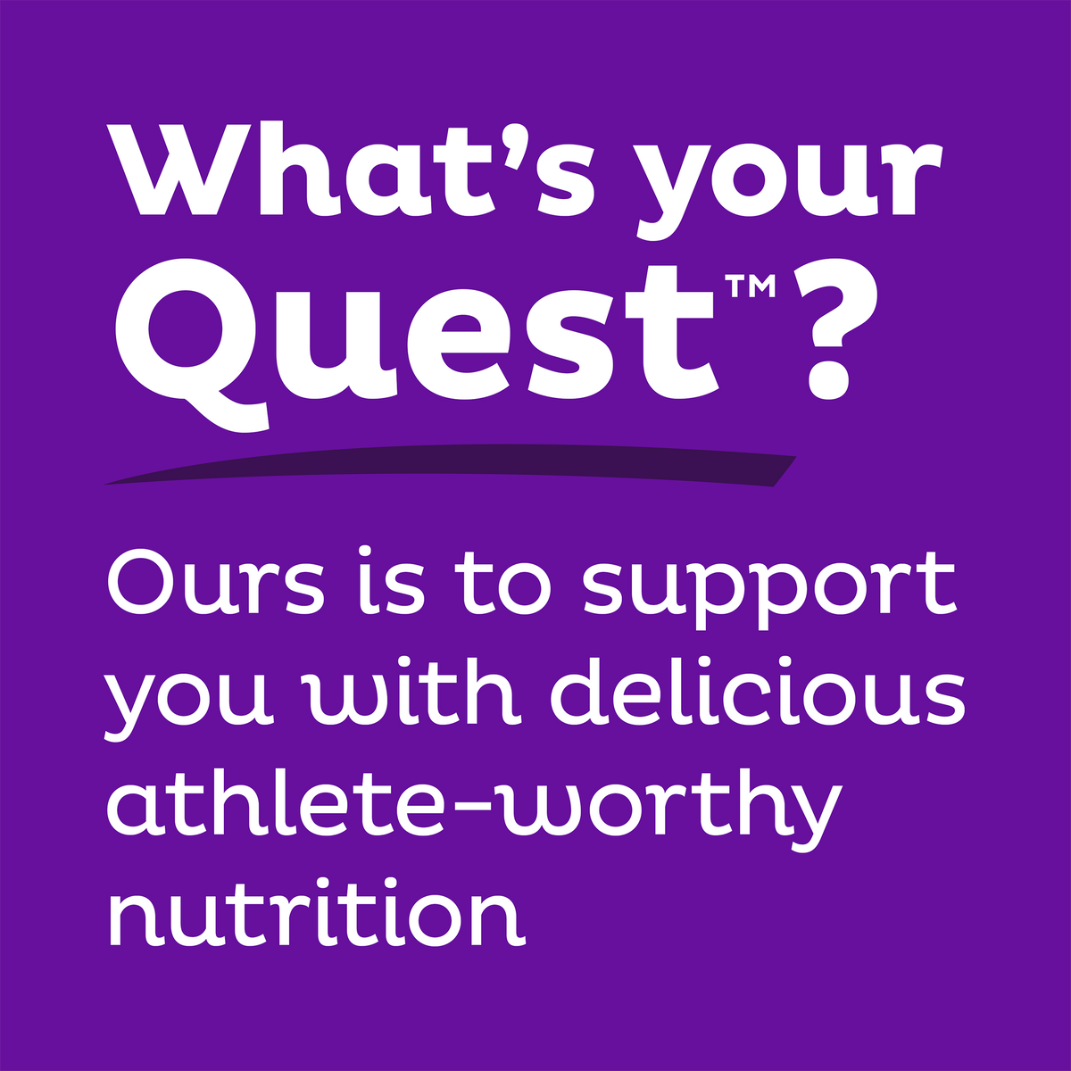 double-chocolate-chunk-protein-bars-b4 qst-000241_double-chocolate-chunk-protein-bars_9.png